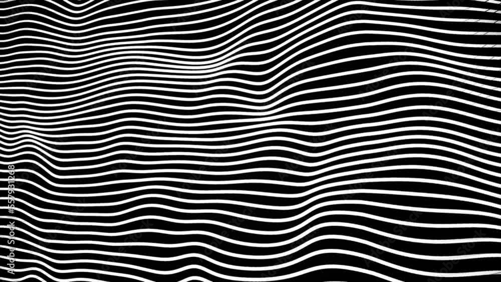 Poster black and white wavy lines seamless loop animation