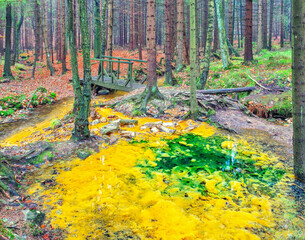 Schwefelquelle im Zittauer Gebirge -  sulfur source in Lusatian Mountains in autumn - obrazy, fototapety, plakaty