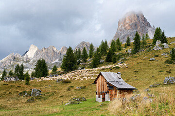Sheep and a mountain hut in the wonderful landscape of the Dolomites mountains, South Tyrol, Italy