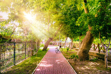 Bicycle in shade of trees with dense foliage in sun-drenched urban natural spring summer park.