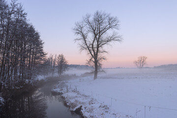 Koseler Au im Nebel am Ornumer Noor im Winter.
