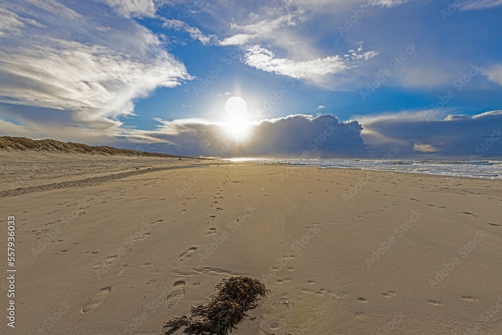 Wall mural Winter image of a North Sea beach near Vejers at sunset