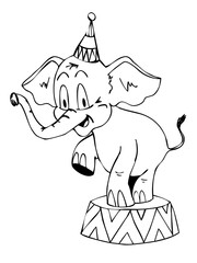elefant