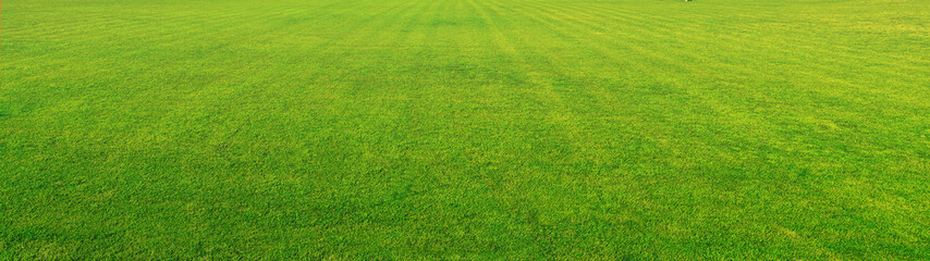 Wide format background image of green carpet of neatly trimmed grass. Beautiful grass texture on bright green mowed lawn, field, grassplot in nature.