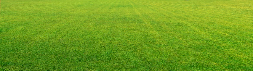 Keuken foto achterwand Bestemmingen Wide format background image of green carpet of neatly trimmed grass. Beautiful grass texture on bright green mowed lawn, field, grassplot in nature.