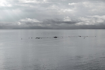 Seascape with boats fishing in the Almadraba of Ceuta, Spain, on a cloudy day.