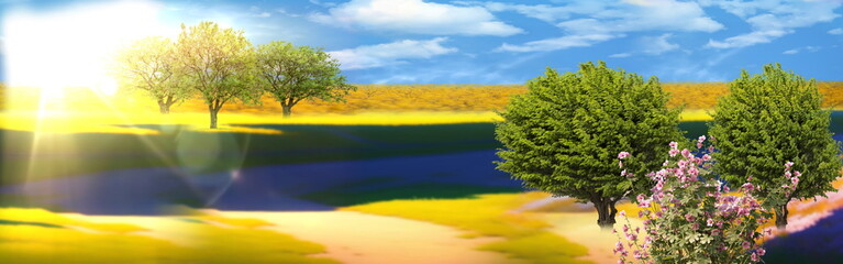 nature landscape Meadow of wheat trees and wild Lavender  flowers on field sunslight blue sky with white clouds summer banner