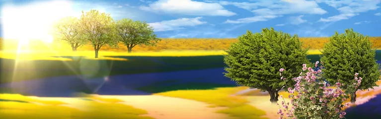 Fotobehang Oranje nature landscape Meadow of wheat trees and wild Lavender  flowers on field sunslight blue sky with white clouds summer banner  © Aleksandr