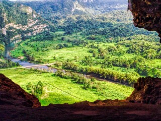 plantation in the mountains