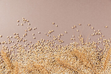 Organic uncooked pearl barley top view. Grains of raw dried broken barley cereal grain as an...