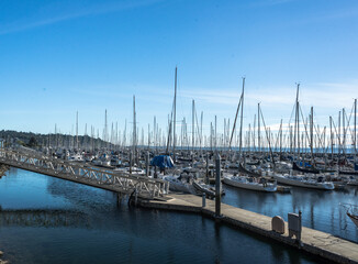 Seattle, Washington local harbor with lots of boats at docks and moorings 