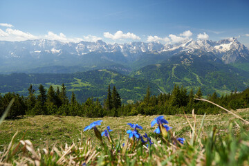 Blick vom Wank auf das Wettersteingebirge, Garmisch-Partenkirchen, Bayern, Deutschland