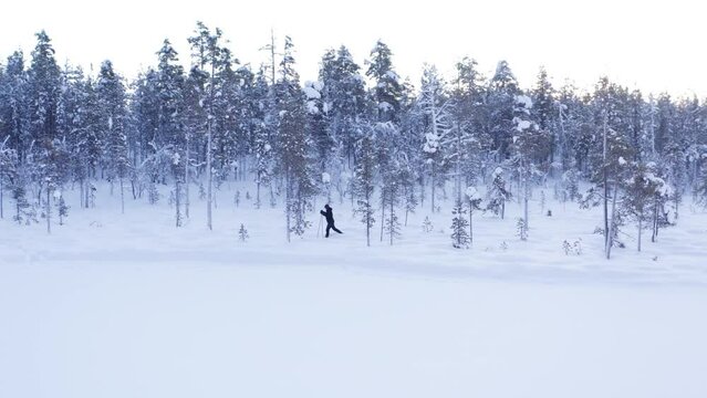 woman cross country skiing in deep snow in northern finland in inari sustainable forest activity during winter time cold weather crisp air on a frozen lake between trees
