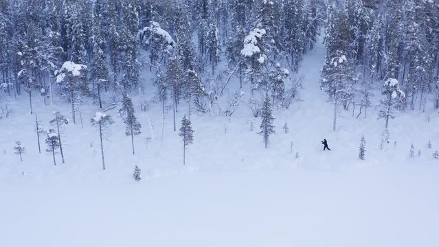 woman cross country skiing in deep snow in northern finland in inari sustainable forest activity during winter time cold weather crisp air on a frozen lake between trees