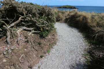 Ardmore cliff walk and watchtower - Ardmore head - County Waterford - Ireland