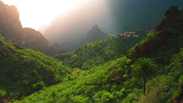 Spring nature with bright green grass and trees on a sunny morning. The rays of the sun shine Masca Gorge and village in ravine. Beautiful natural landscape. Tenerife Canary Islands Spain Europe.