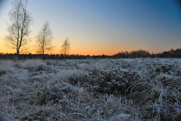 Sonnenaufgang im Frost
