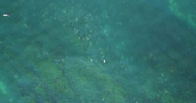 Mesmerizing top down aerial glide over smooth ocean wave flowing above marine plants towards tide pools along the California coast 