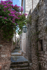 Bougainvillea in flower on a narrow lane (Ulica Vicka Butorovića), in the old town of Hvar, Croatia 
