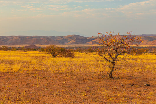 Namibian landscape Damaraland, homelands in South West Africa, Namibia.