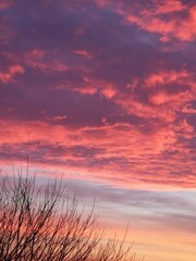 Fototapeta premium Red sunset