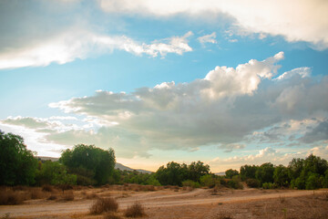 Imagen del campo con arboles y nubes paisaje de la naturaleza ideal para acampar atardecer hermoso 