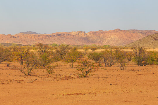 รูปภาพBantustan เลือกดูภาพถ่ายสต็อก เวกเตอร์ และวิดีโอ128 Adobe Stock