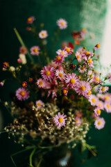 Bouquet of flowers. Pink aster amellus flowers