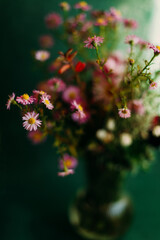 Bouquet of flowers. Pink aster amellus flowers