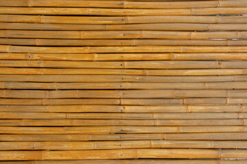 bamboo background