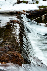 water flowing in the forest