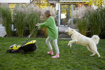 Playful dog plays with its owner, who cuts the lawn with a lawnmower, spending leisure time happily...