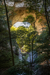Stone gate. Boulder arch cave entrance in deep forest