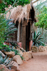 Hut covered with dry palm leaves. There are stones and aloe plants around the hut and a sandy path. Background.