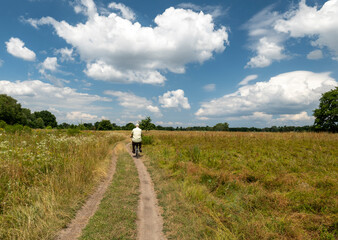 Fototapeta premium Rear view of a man on a bicycle rides on a road in a field. Summer landscape. Movement in nature