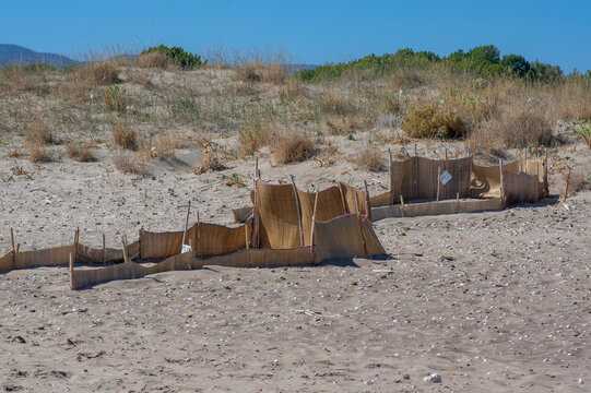 Caretta turtle nest protecting on kalamaki sandy beach on the Turtles Island Zakynthos Greece, environmental issues