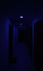 Blue corridor with multiple doors and light spot on the ceiling - infinite access to the future