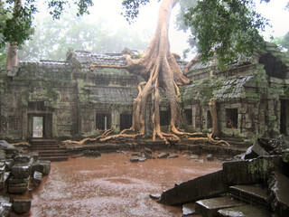 Fototapeta premium Ta Prohm in the rain, Angkor Wat, Cambodia