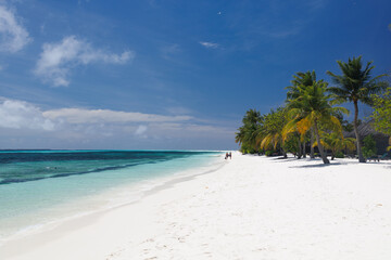 Bungalow on a tropical island with palm trees