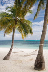 Beautiful tropical beach with white sand, turquoise ocean on background blue sky with clouds on sunny summer day. Palm tree leaned over water.