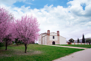 Spring scenery of Cherry Blossom trees, The Christian Church during Cherry Blossom Festival in spain Valladolid