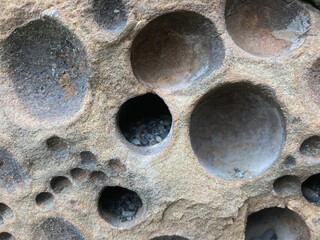 Holes made by clams 