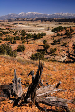 Henry Mountains From Notom Road, UT