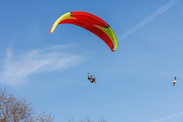 paragliding in the sky