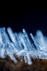 Ice crystals on tree branches. Ice needles on a branch. Frost crystals covering the branch. A crystallized tree branch. Beautiful winter pattern of ice crystals of snowflakes on pine needles on a bran