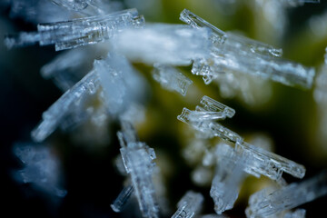 Ice crystals on tree branches. Ice needles on a branch. Frost crystals covering the branch. A...