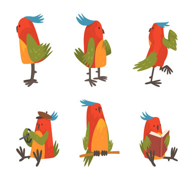 Set of parrot birds. Bright parrot pet character driving car and reading book cartoon vector illustration
