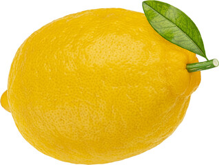 One lemon isolated
