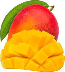 Mango fruit isolated