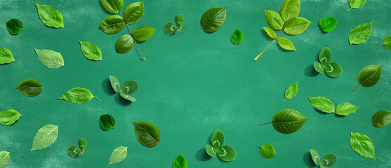 Green leaf frame design background - flat lay